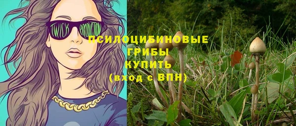 спайс Алексин