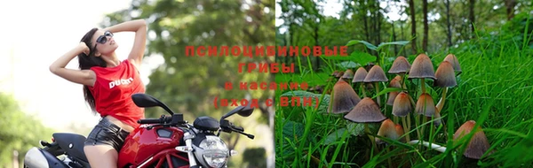 кристаллы Алзамай
