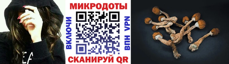 Псилоцибиновые грибы Psilocybine cubensis  сколько стоит  Краснодар 